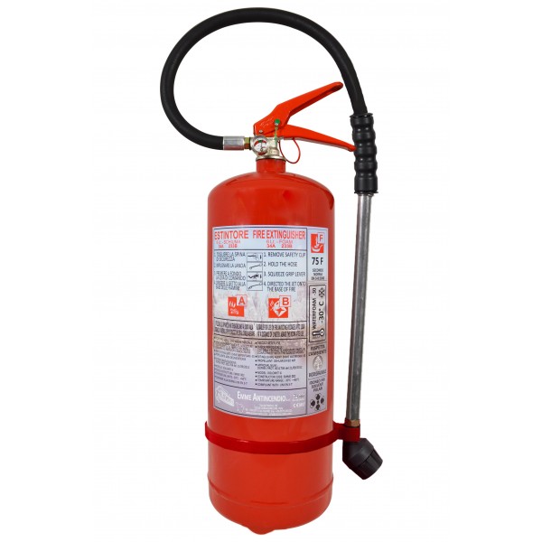 Estintore lt.6 schiuma 13A-113B-75F con lancia prolunga e bombola inox aisi Estintore lt.6 schiuma 13A-113B-75F con lancia prolunga e bombola inox aisi