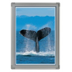 Cornice chiusura magnetica formato 210x297 mm prof.10