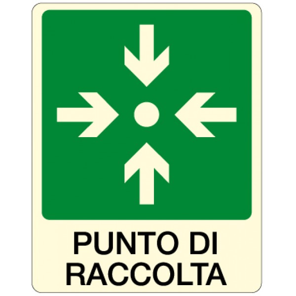 Cartello in alluminio formato mm 330x500 luminescente punto di raccolta (l1773c)