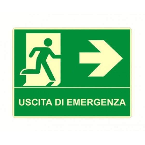 Cartello in alluminio formato mm 500x400 luminescente uscita emergenza sinistra