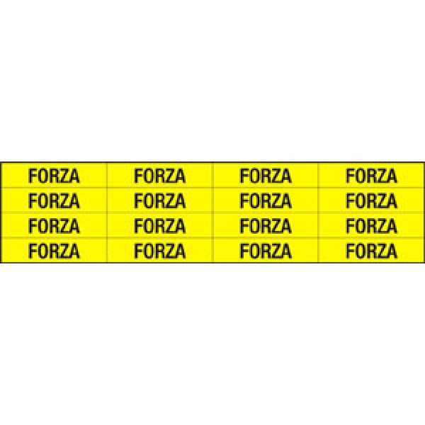 Foglio distributore formato mm 240x60 da 16 et. forza